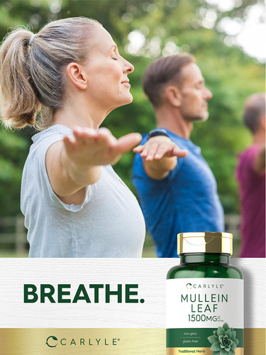 Suplemento Carlyle Mullein Leaf Extract 1500mg 200 Cápsulas - Imagem 6