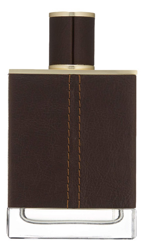 Perfume Vince Camuto Terra Extreme Eau De Parfum 100ml For M - Imagem 3
