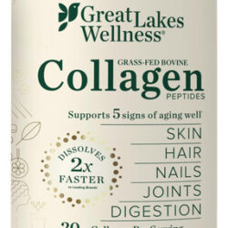 Peptídeos De Colágeno Em Pó Great Lakes Wellness 300 Ml Unfl