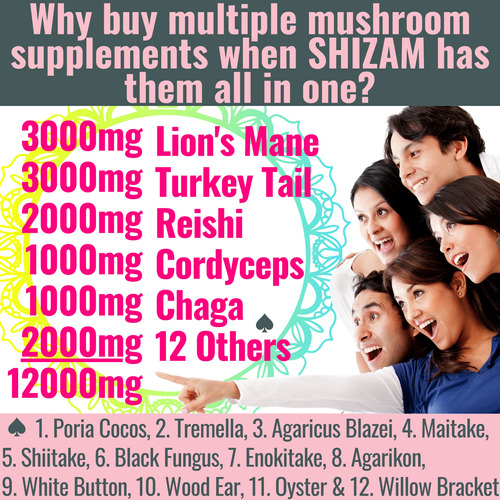 Gummies Shizam Superfood 17 Blend Mushroom Complex 12.000 Mg - Imagem 3