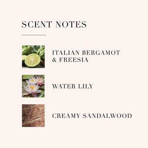 Óleo De Perfume Le Monde Gourmand 000 30ml Amadeirado E Fres - Imagem 5