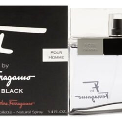 Perfume Masculino F Preto 100ml Edt Spray