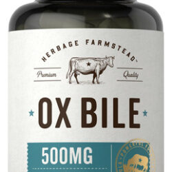 Suplemento Carlyle Ox Bile 500 Mg 60 Cápsulas De Enzima Dige