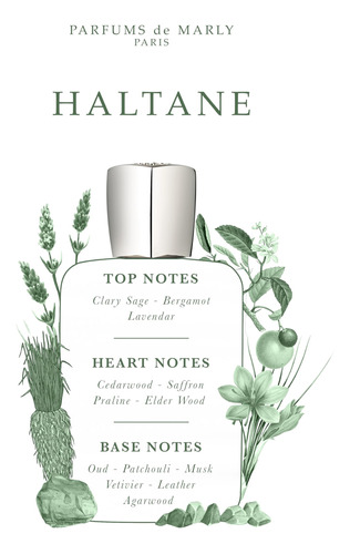 Perfume Parfums De Marly Haltane Eau De Parfum 125ml For Men - Imagem 3