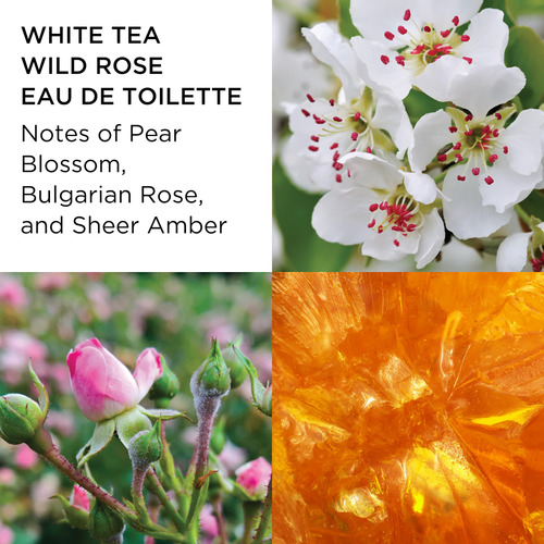 Conjunto De Perfumes Elizabeth Arden White Tea Eau De Toilet - Imagem 6