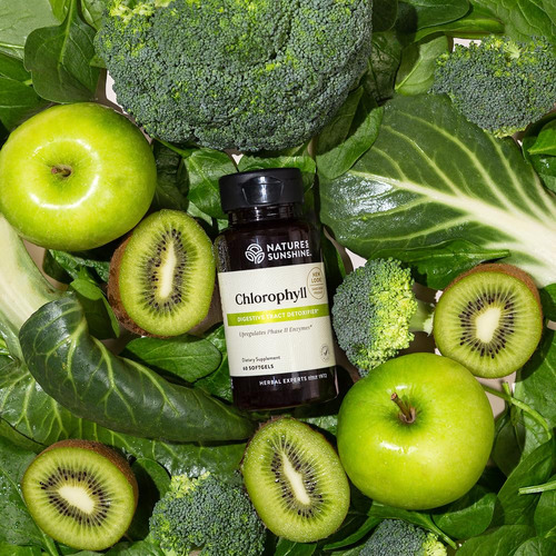 Suplemento Nature's Sunshine Chlorophyll 60 Cápsulas De Gel - Imagem 6