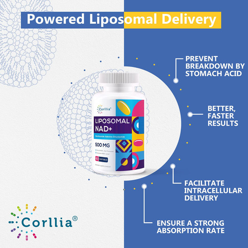 Suplemento Corllia Lipossomal Nad+ 500 Mg Com Tmg 250 Mg Sof - Imagem 3