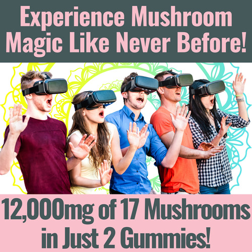 Gummies Shizam Superfood 17 Blend Mushroom Complex 12.000 Mg - Imagem 2