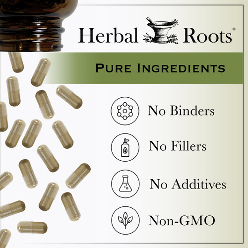 Suplemento Herbal Roots Black Cohosh Root 600mg 60 Cápsulas - Imagem 6