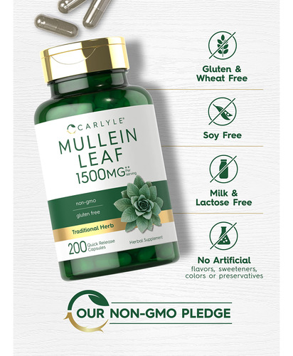 Suplemento Carlyle Mullein Leaf Extract 1500mg 200 Cápsulas - Imagem 4