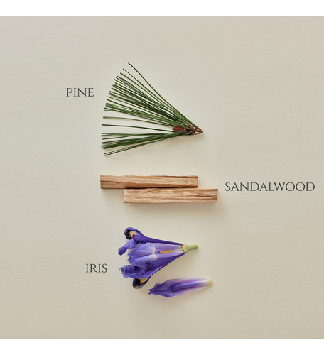 Perfume Beauty Of Joseon Pine Grove Eau De Perfume 30ml - Imagem 3