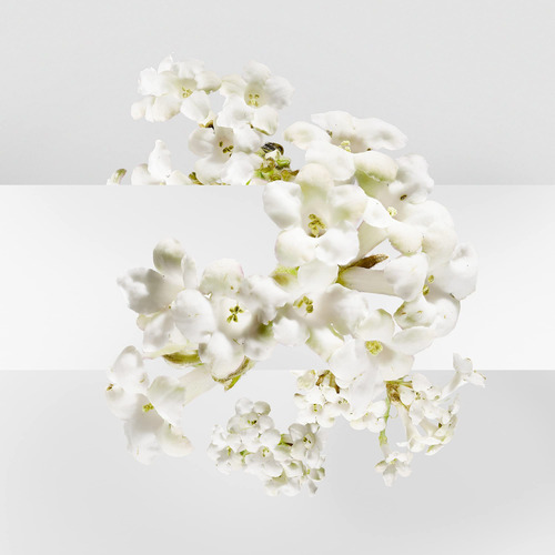 Perfume De Água Hermes Un Jardin Sur La Lagune Toilette 1 - Imagem 5