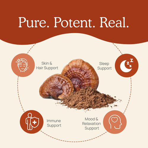 Suplemento Real Mushrooms Reishi Em Cápsulas 90 Cápsulas - Imagem 4