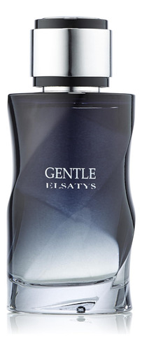 Perfume Reyane Tradition Gentle Elsatys Eau De Parfum 100ml - Imagem 2