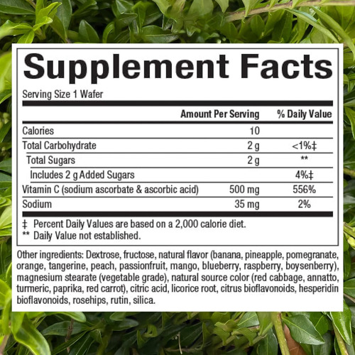 Suplemento Natural Factors Vitamina C 500 Mg Para Crianças M - Imagem 2