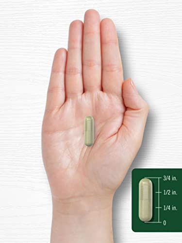 Suplemento Carlyle Indole-3-carbinol (i3c) 400 Mg 120 Cápsul - Imagem 10