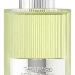 Perfume Tom Ford Beau De Jour Eau De Parfum 100ml For Men