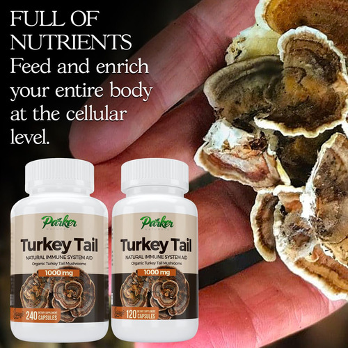 Suplemento Parker Naturals Turkey Tail Mushroom 120 Cápsulas - Imagem 5