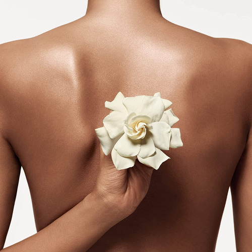 Perfume Donna Karan Cashmere Mist Eau De Toilette 100ml - Imagem 4