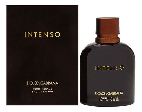 Perfume Dolce & Gabbana Intenso Eau De Parfum 125ml Homem