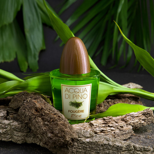 Perfume Pino Silvestre Acqua Di Pino Fougere Eau De Toilette - Imagem 4