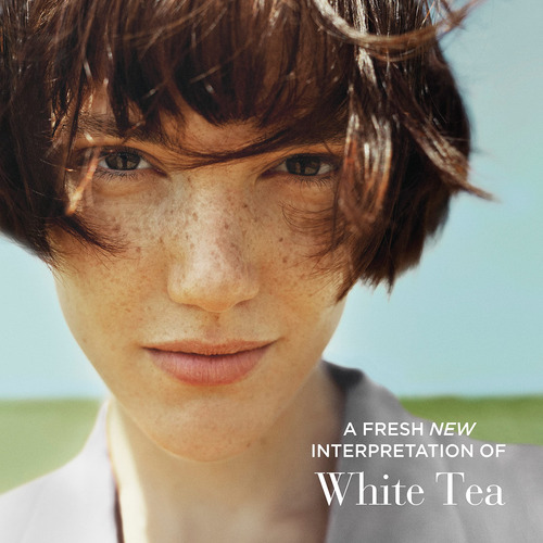 Perfume Elizabeth Arden Chá Branco Eau Fraiche 100ml - Imagem 5
