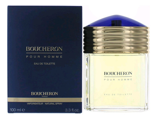 Perfume Boucheron Pour Homme Eau De Toilette 100ml Para Home