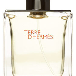 Perfume Hermes Terre D&quothermes Eau De Toilette 50ml Para Home