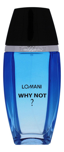 Perfume Lomani Why Not Edt 100ml Spray Para Homens - Imagem 2