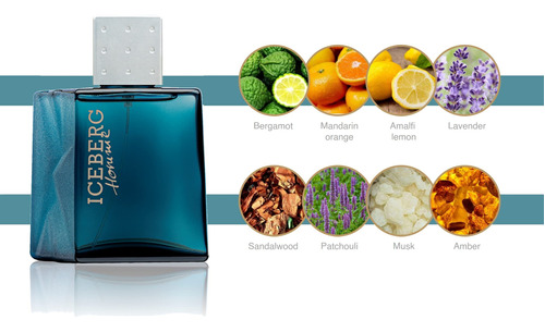 Perfume Iceberg Homme Aromatic Fougere Edt 100ml Para Homens - Imagem 4
