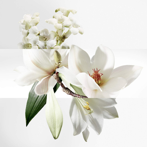 Perfume De Água Hermes Un Jardin Sur La Lagune Toilette 1 - Imagem 3