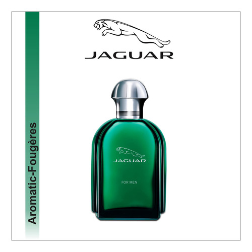 Perfume Jaguar By Jaguar Eau De Toilette 100ml Para Homens - Imagem 3