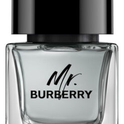 Perfume Burberry Mr Burberry Eau De Toilette 50ml Para Homen