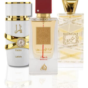Conjunto De Perfumes Genérico De 3 Peças Musk Mood, Ana Abiyedh Rouge E Yara Moi