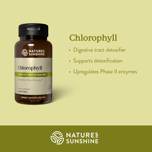 Suplemento Nature's Sunshine Chlorophyll 60 Cápsulas De Gel - Imagem 3