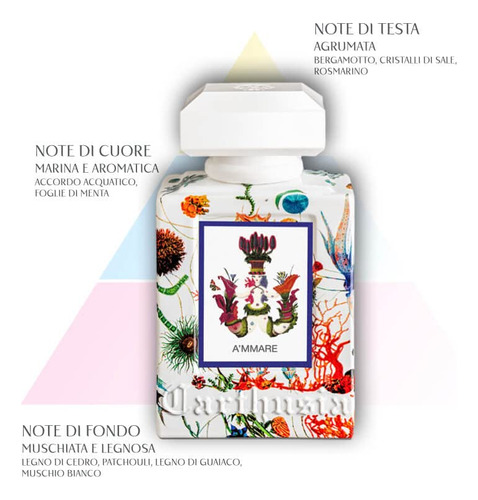 Perfume Carthusia A'mmare Eau De Parfum 100ml For Women - Imagem 3
