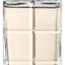 Perfume Hugo Boss Orange Eau De Toilette 100ml For Man
