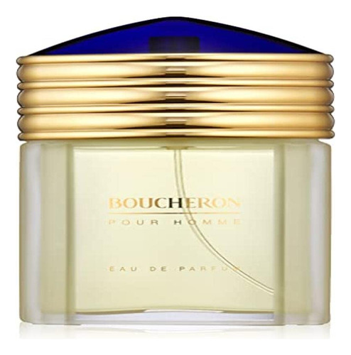 Perfume Boucheron Pour Homme Eau De Parfum 100ml Para Homens