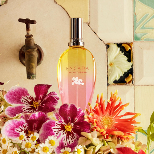 Perfume Escada Brisa Cubana Eau De Toilette 100ml For Women - Imagem 5