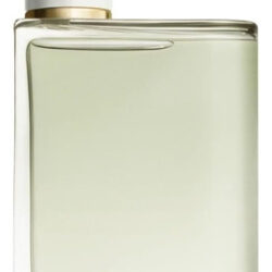 Perfume Burberry Her Edt 100ml Para Mulheres