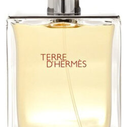 Perfume Hermes Terre D'hermes Edt 50ml Para Homens