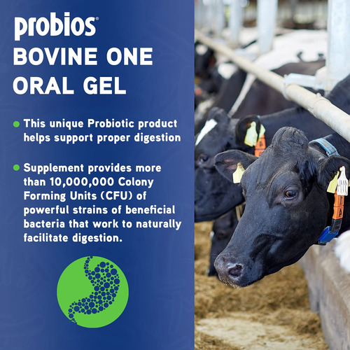Gel Oral Probios Bovine One Para Ruminantes, Tubo De 60 Ml - Imagem 2