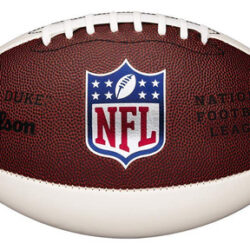 Mini Autógrafo Football Wilson Nfl Em Miniatura Marrom/branc