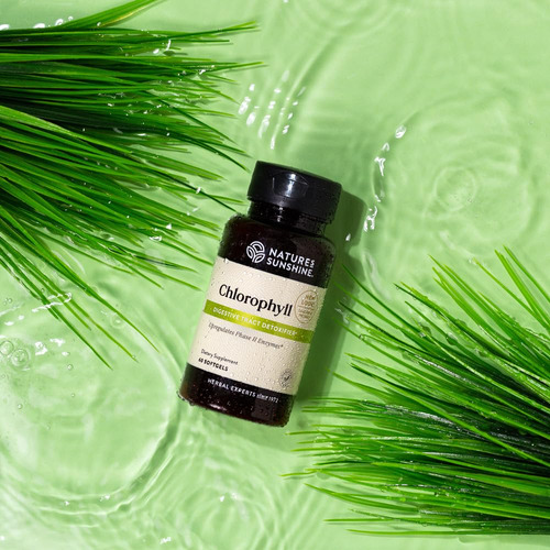 Suplemento Nature's Sunshine Chlorophyll 60 Cápsulas De Gel - Imagem 2