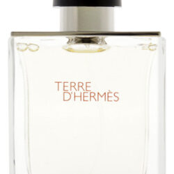 Perfume Hermes Terre Dhermes Edt Spray Para Homens 50ml
