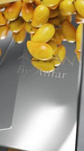 Perfume Adyan Musc Mango Extrait De Parfum 100ml Tropical - Imagem 4