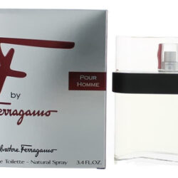 Perfume Salvatore Ferragamo F Eau De Toilette 100ml Para Hom
