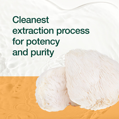 Suplemento Fresh Nutrition Organic Lions Mane Mushroom Capsu - Imagem 6