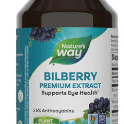Suplemento Nature's Way Com Extrato Premium De Mirtilo 90 Cá