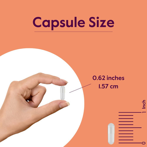 Suplemento De Ácido Alfa Lipóico Bestvite 100mg (240 Cápsula - Imagem 5